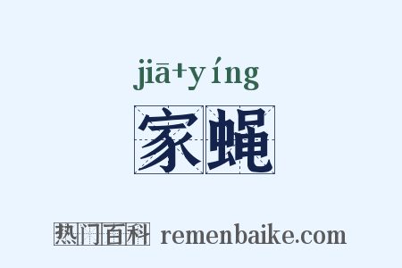 家蝇是什么意思的图片